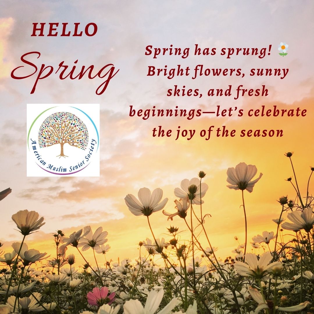 Hello Spring Natural Instagram Post